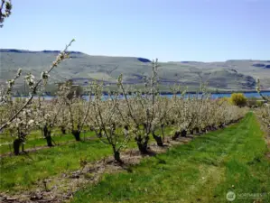 Views from Every Vantage Point