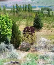 Wonderful Views From Every Direction