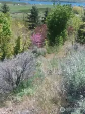 Beauty all year long