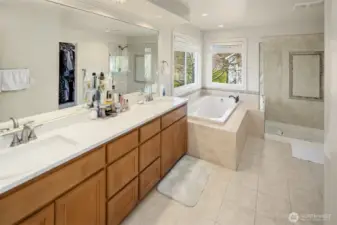 Large Primary Bathroom w/ dual sinks & large walk-in closet w/ custom built is cabinetry