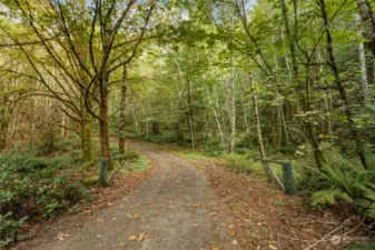 Enchanting entrance to this 79 acre Estate.