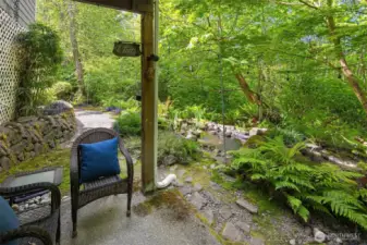 back patio overlooking koi pond