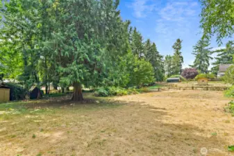 Large side yard/mostly cleared parcel adjacent to the west of the house
