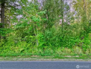 level, lightly forested parcel awaits you dream home.