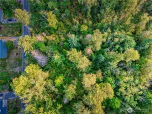 View from directly above property
