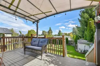 Expansive Yard