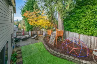 Inviting backyard view showcasing the turf lawn, play area, and patio seating — a perfect blend of relaxation and outdoor fun.