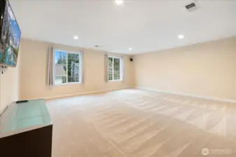 Huge Rec Room/Game Room.