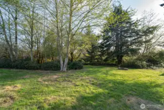 Gorgeous level lot with sewer and water already on property. All it is missing is you and your plans.