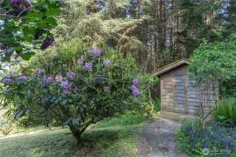 Beautiful Lilacs, rhododendrons and many other mature plants and flowers abound on this property.