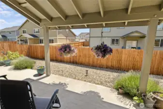 Covered patio at the low maintenance back yard