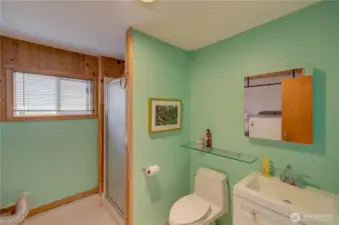 Lower level 3/4 bath