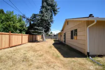 Backyard 2