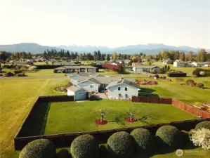 Real Aerial