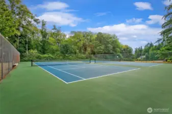 Shore Woods community tennis courts.