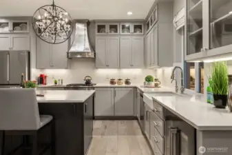 Quartzite countertops, beverage chiller, farm sink, no detail overlooked.