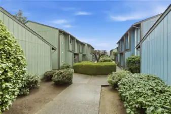 Welcome to Amber Lane.