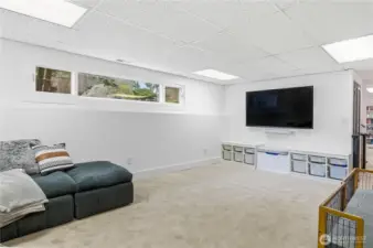 Lower Living Room with Wood Fireplace
