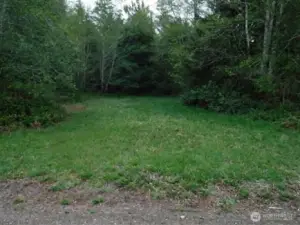 A private, tree-lined clearing offering a quiet, park-like setting ready for your vision.