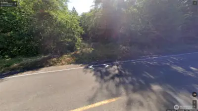 Paved road frontage with easy access to a wooded parcel featuring a partial clearing, ideal for future use.