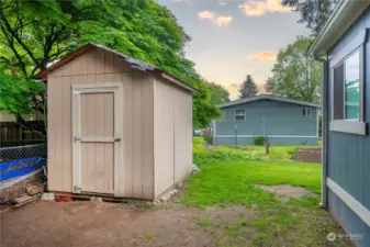 Shed for extra storage