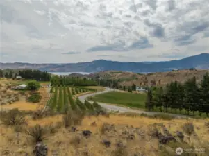 Looking from the 2 vacant ( buildable lots this 9+ acres also includes the duplex to the left and the 1 acre of Honey Crisp apples toward the center of this picture.