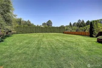 Mature landscaping and new wood fencing