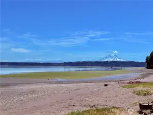 Even on a low tide day - Phenomenal views from the community’s private beaches!
