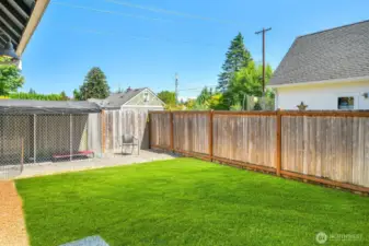 Back yard with dog run around garage. Lawn was "greened".