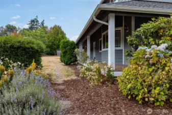 Walking path through the mature landscaping.