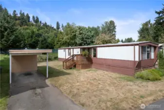 Lone Cedar is a 55+ community