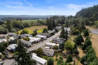 Welcome to Lone Cedar park in Puyallup. The park is close to the newer Pioneer Crossing shopping centre