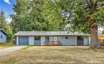 Spacious front yard