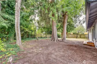 Partially fenced back yard with mature trees