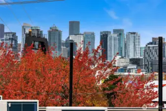 Views are from Various Roof Decks Onsite