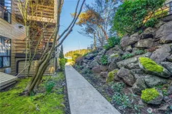 Manicured Landscaping