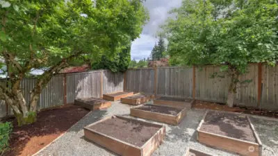 In the perfect area of the backyard is a set of raised planting beds for growing flowers and vegetables.  Making it easy is the drip irrigation system for the beds.  The whole front and backyards have a full sprinkler system.