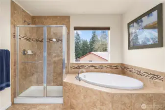 Primary bath shower and soaking tub