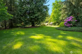 Landscape surrounding home, mature trees and perennials, stunning!