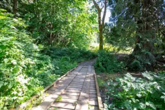 This handy bridge leads to the garden area