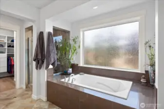 Primary Bathtub