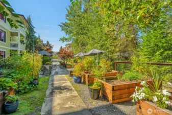 Community garden.