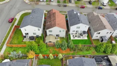 View of the Home from the Back of the House