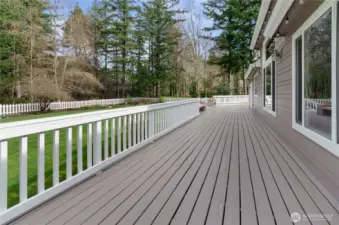 Did you see all the windows on this home?