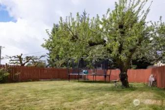 large, fenced backyard space great for gardening