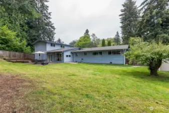 Back of house with huge yard, dog run and 2 sheds