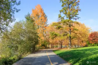 Walking the 2.8 mile loop around the lake never gets old.  The changing seasons are a joy to watch.