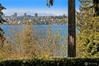 Take in panoramic views of the Seattle skyline, where twinkling city lights create a magical backdrop as day turns to night.