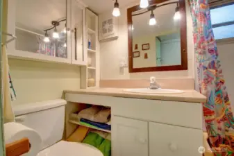Cabinets and storage in bathroom