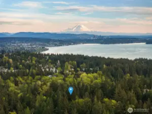 Mt. Rainier VIEWS